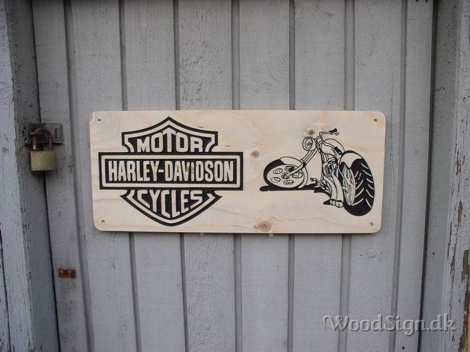 Harley and Bike.JPG